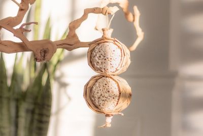 Sola Stack - by Little Dinos