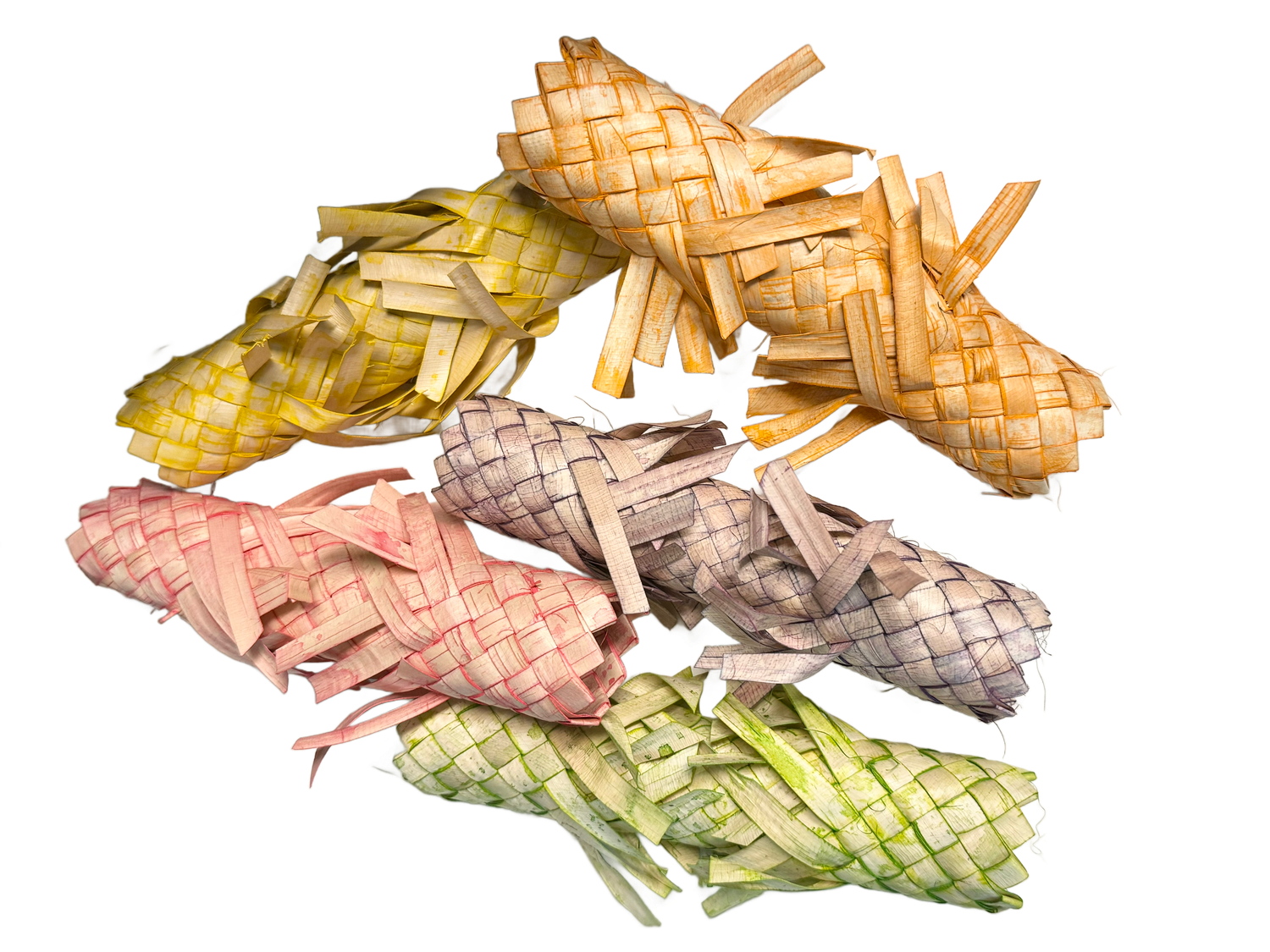 Colorful Large 6&quot; Spiky Fat Palm Chews 5pc by Feathered Addictions