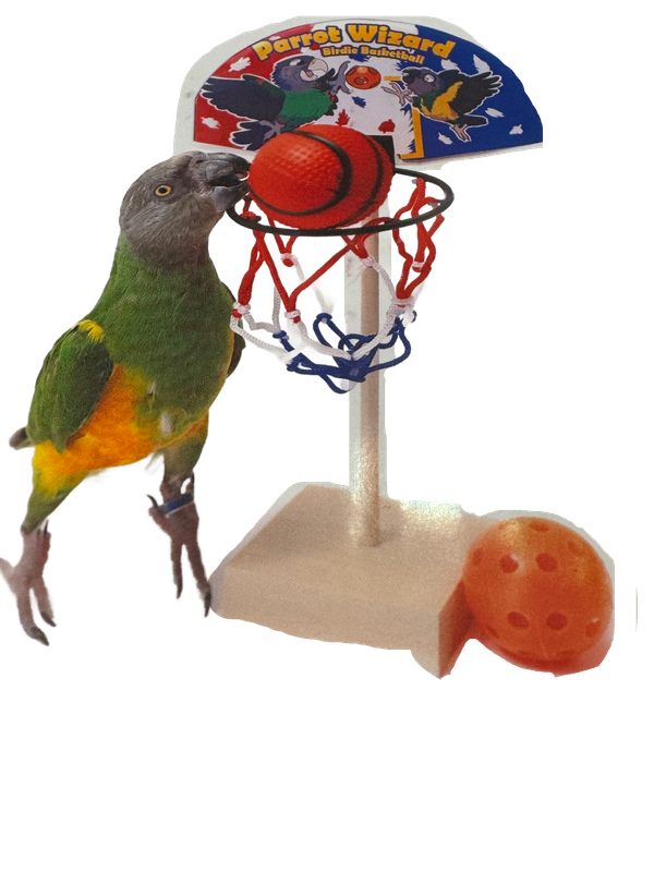 Birdie Basketball by Parrot Wizard