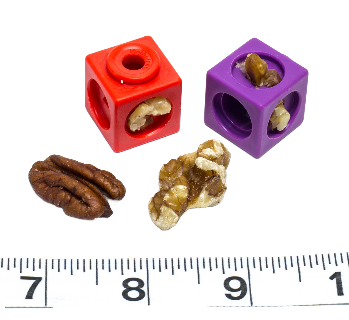 Nut Stuffer Foraging Cubes - 10 Pack