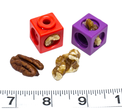 Nut Stuffer Foraging Cubes - 10 Pack