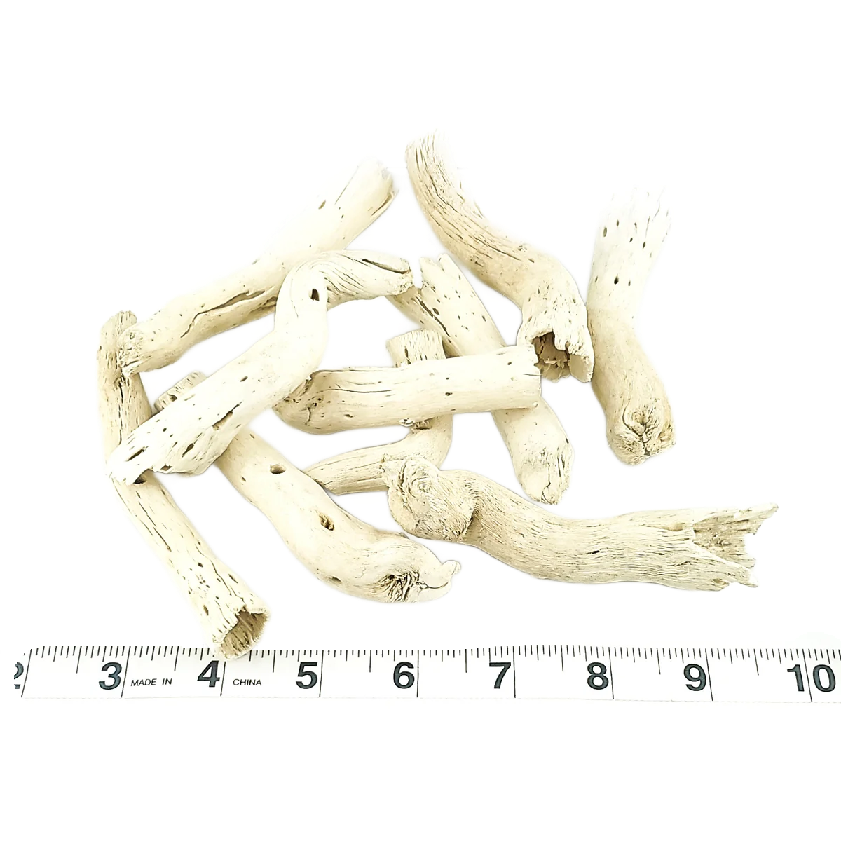 Natural Alien Bones - 10 Pack