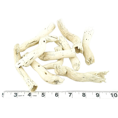 Natural Alien Bones - 10 Pack