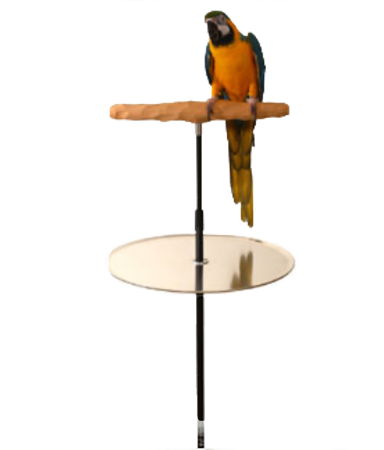 Training Perch Floor Stand with Potty Tray