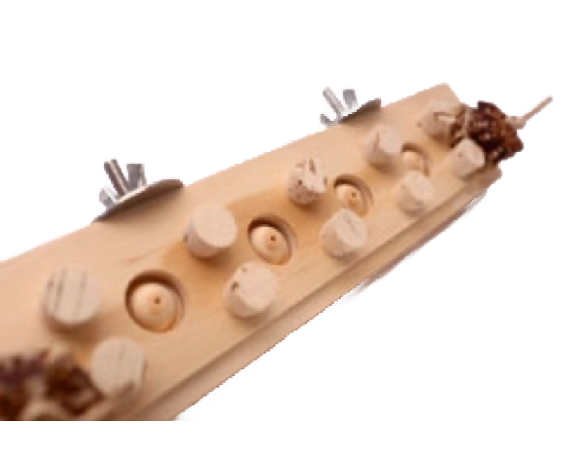 Woodberry Parrot Bolt on Toy by Woodland Bird Toys