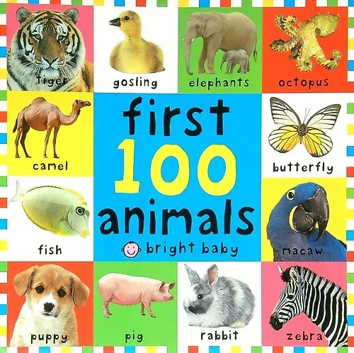 First 100 Animals Book -- featuring Hannibal the Hyacinth Macaw