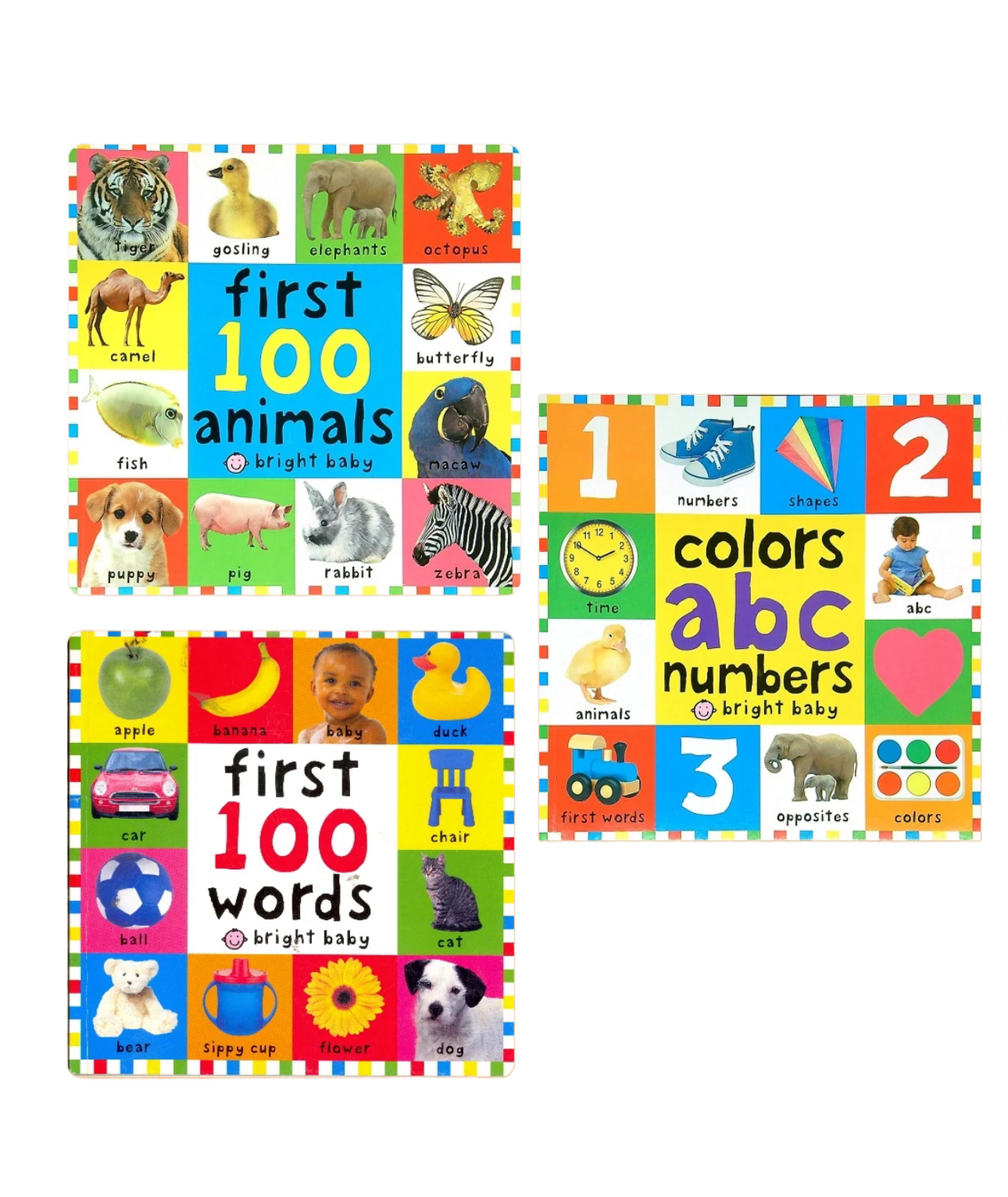 First Books 3 Pack includes First 100 Animals Book -- featuring Hannibal the Hyacinth Macaw