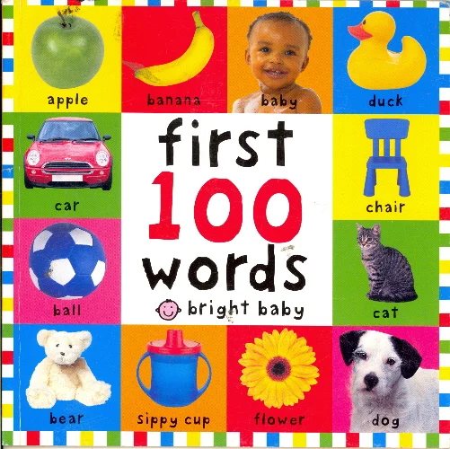 First 100 Words Book - Bright Baby