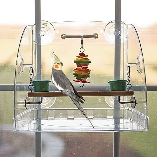 Bird Window Play Center by Featherland Paradise - Caitec