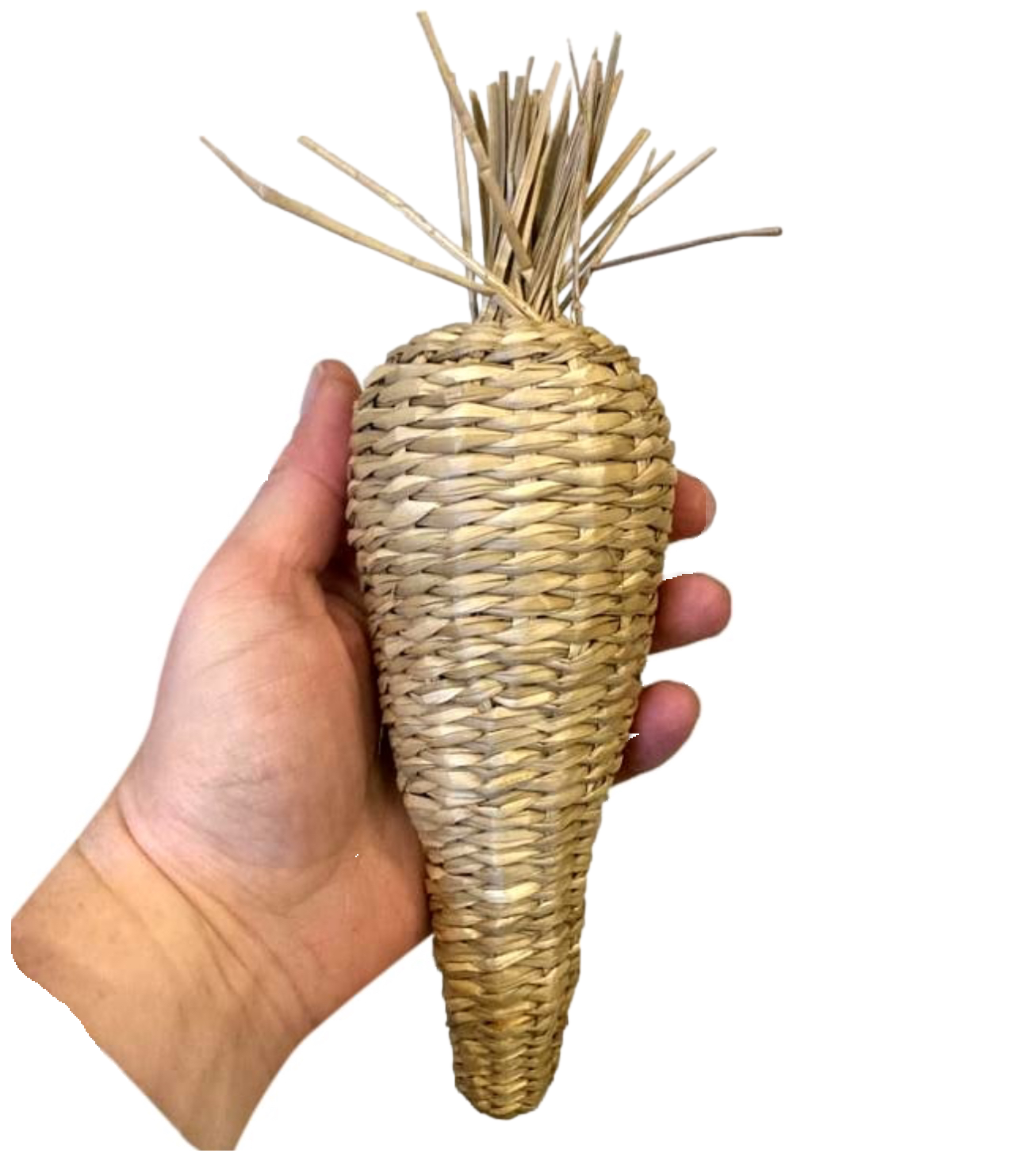 Large Seagrass &amp; Banana Leaf Carrot Cruncher by Feathered Addictions