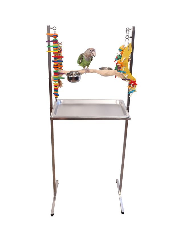 Medium Stainless Steel Parrot Play Stand - Play Gym - Made in USA by The Parrot Wizard