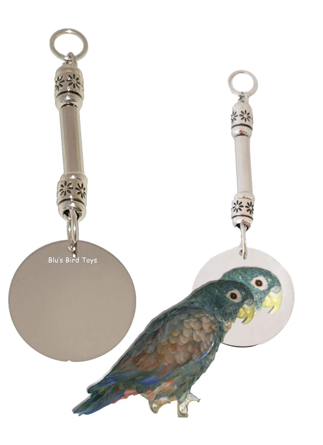 Birdie in the Mirror - Stainless Steel - Hand made in the USA