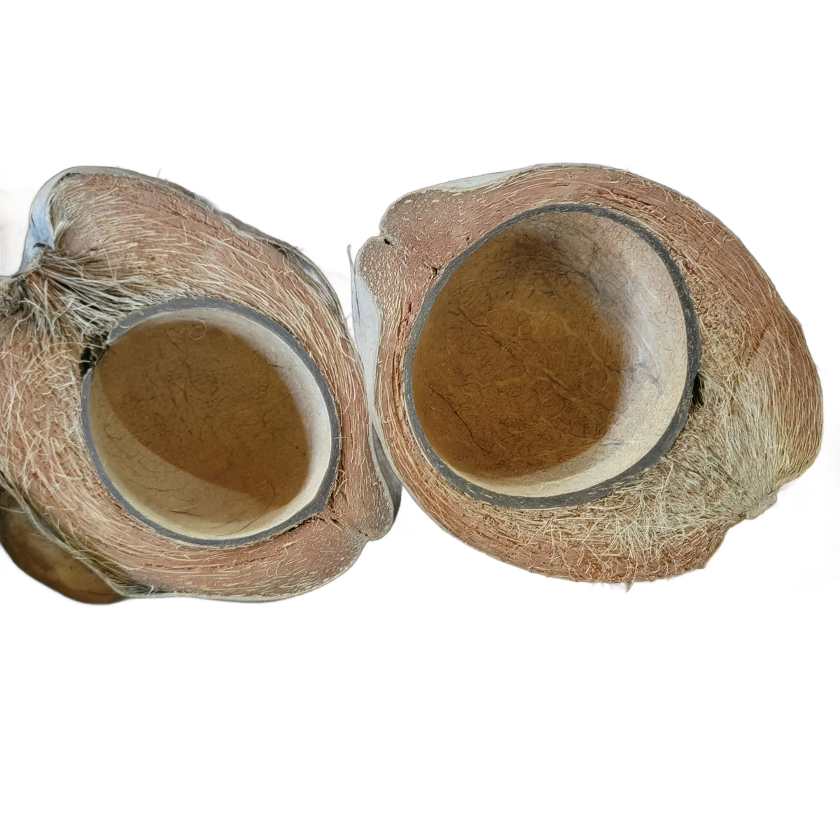 Half Coconuts - Coco Bowls by Cheep Thrills