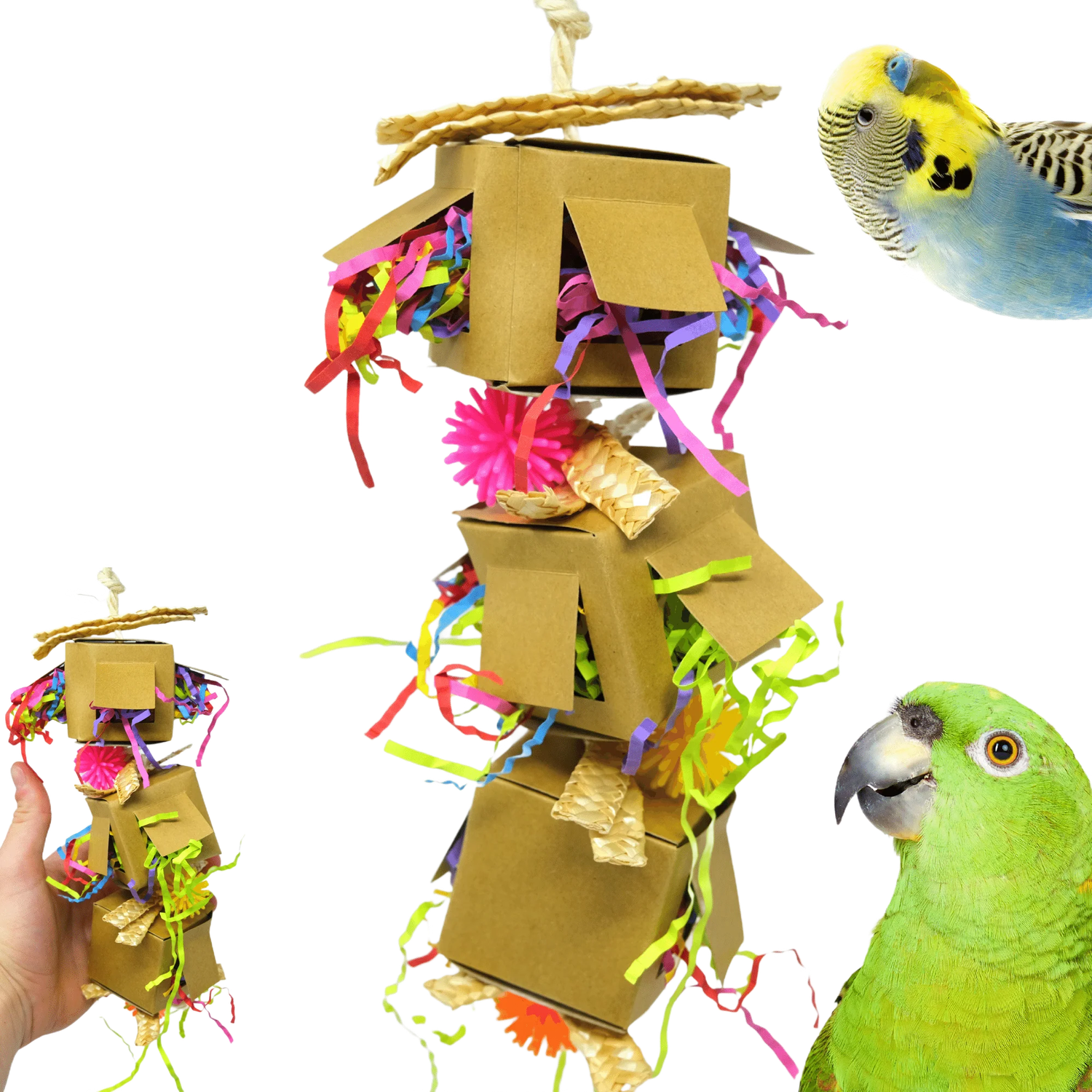 Peek a Boo Box by Bonka Bird Toys