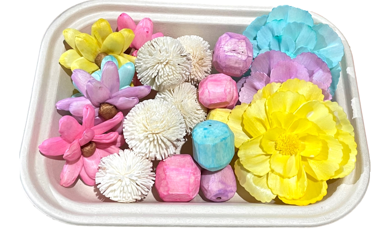 Pastel Sola Flower Blissful Box with Reusable Foraging Tray by Feathered Addictions