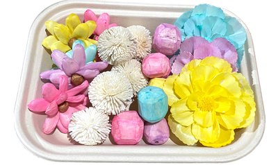 Pastel Sola Flower Blissful Box with Reusable Foraging Tray by Feathered Addictions