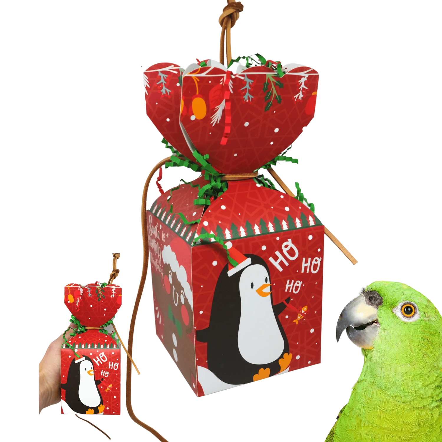 Red Christmas Foraging Box Bird Toy by Bonka Bird Toys