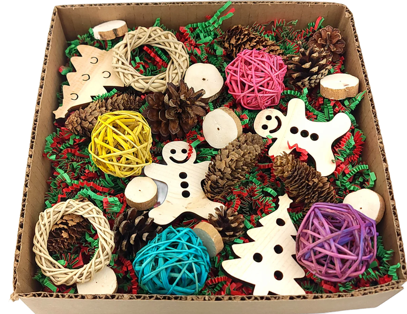 NEW! Christmas Edition Foraging Flat / Busy Box by Cheep Thrills Bird Toys