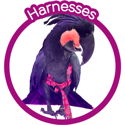 JMK Harnesses