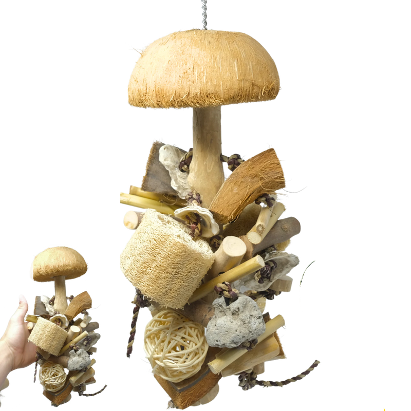 Small Coco Loco - by Bonka Bird Toys