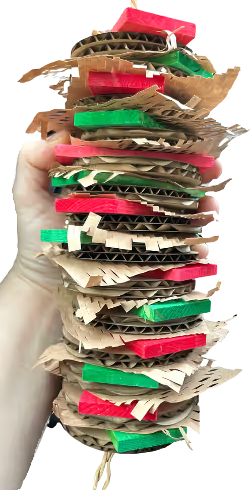 Dasher Meets Derek Delight by Feathered Addictions