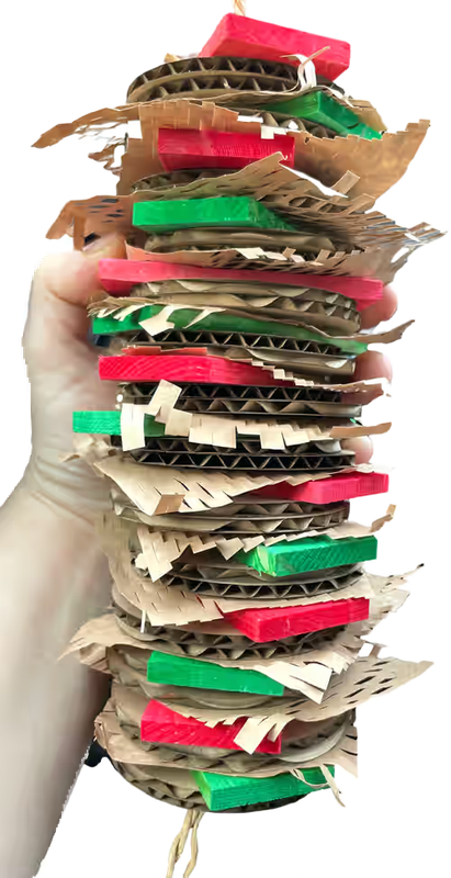 Dasher Meets Derek Delight by Feathered Addictions