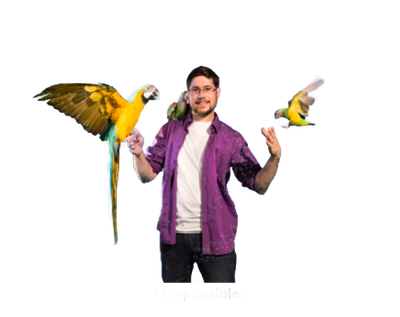 Parrot Wizard