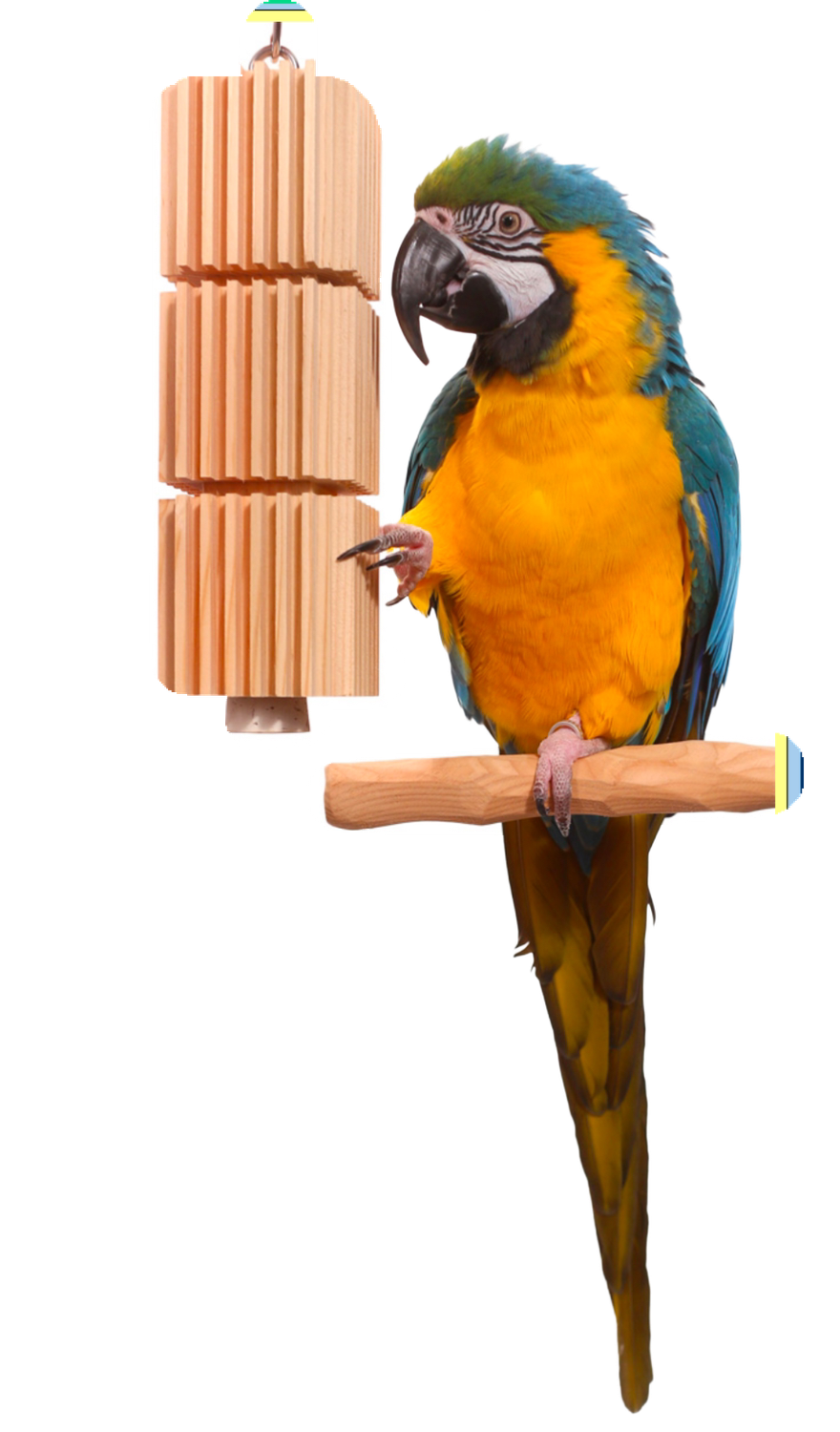 Parrot Tower Large Parrot - Macaw Toy by Woodland Bird Toys