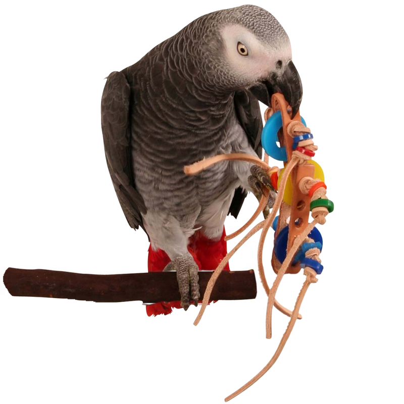 Rollicking Foot Toy - by Fun Max Bird Toys