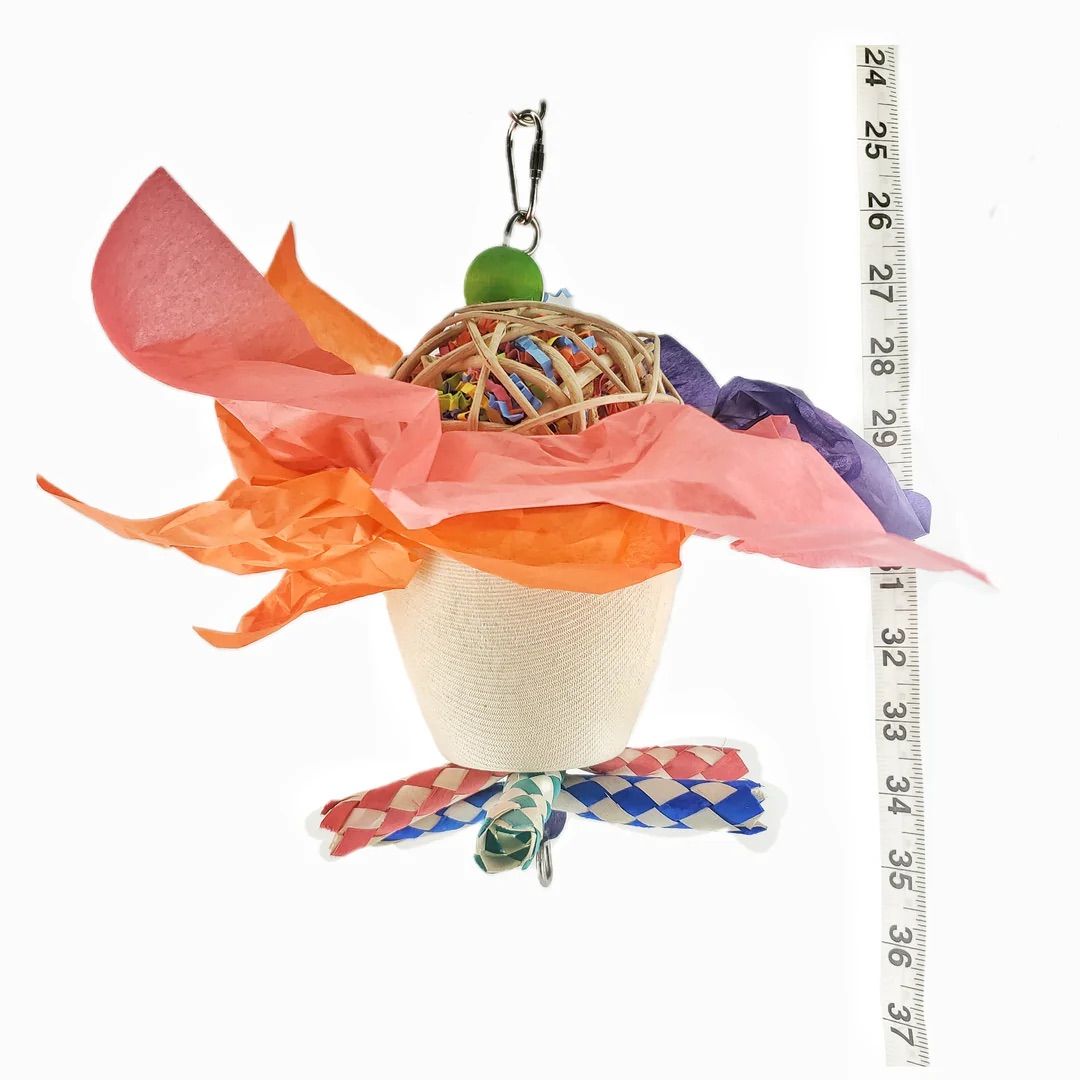 The Super Scoop by Cheep Thrills Bird Toys