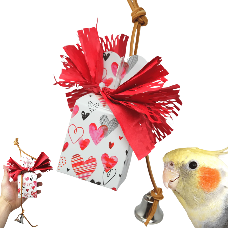 Love Box Toy by Bonka Bird Toys - Limited Edition