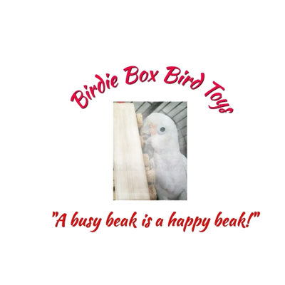 Birdie Box Bird Toys