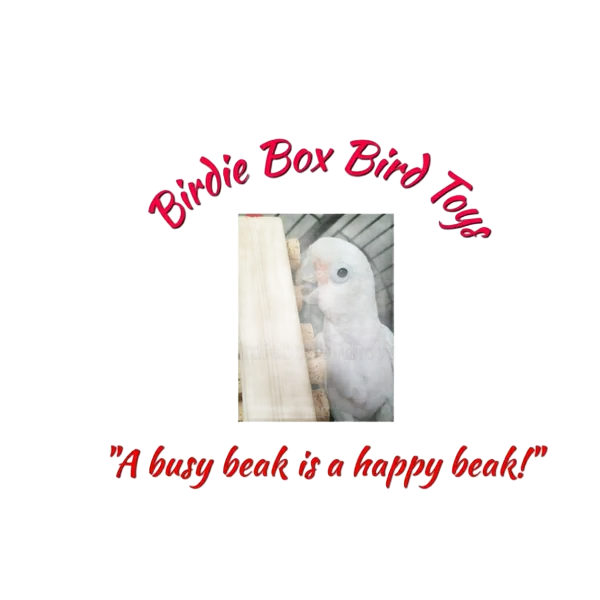 Birdie Box Bird Toys