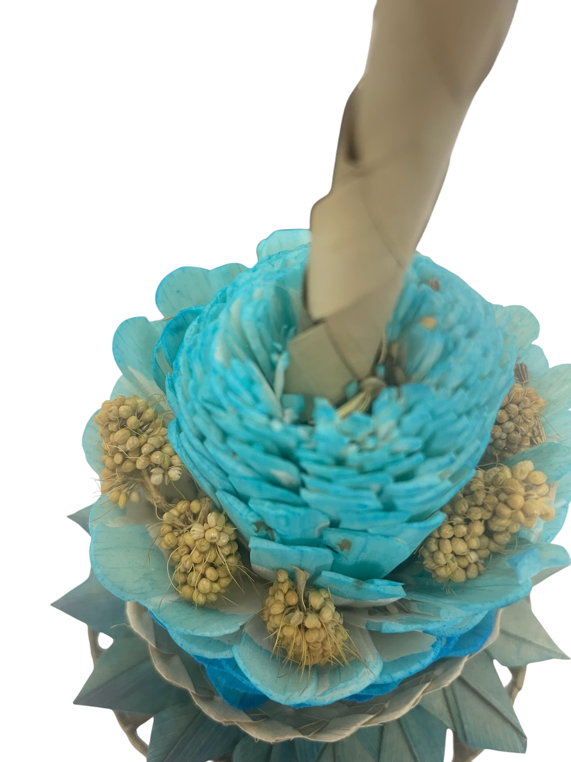 Splendid Sola Cone with Foraging Millet Bits by Feathered Addictions