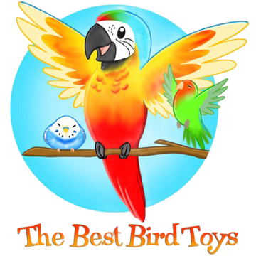 The Best Bird Toys