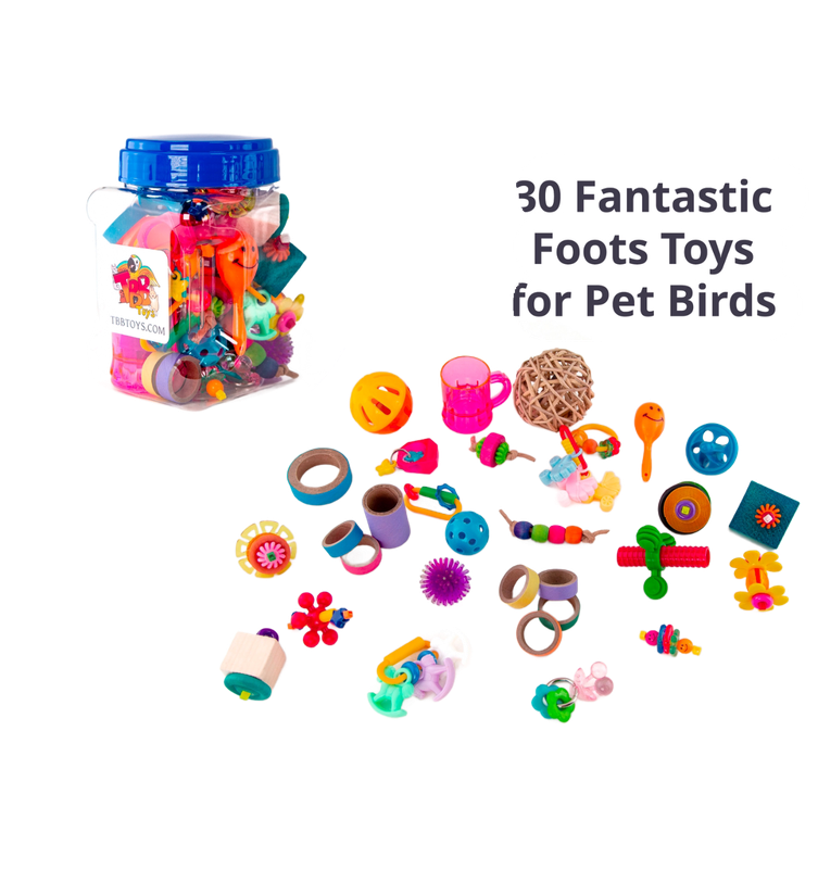 Conures Footies Jar - 30 Toys by The Best Bird Toys