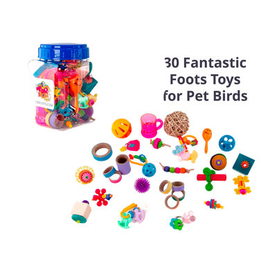 Conures Footies Jar - 30 Toys by The Best Bird Toys