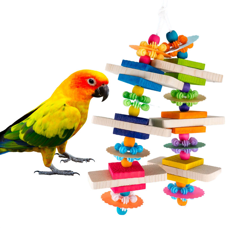 Starry Eyed Color by The Best Bird Toys