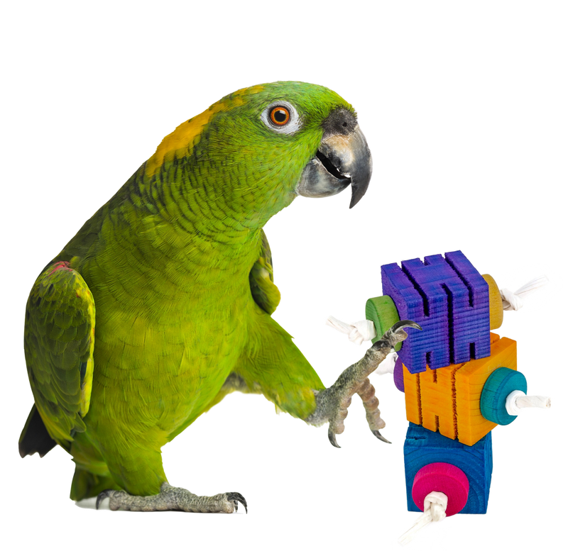 Chip it Blox Foot Toys set of 3 with Paper Rope by The Best Bird Toys