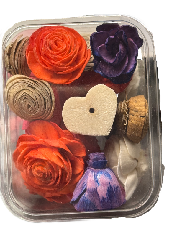 Sola Lovers Summer Delight Clamshell -  by Feathered Addictions