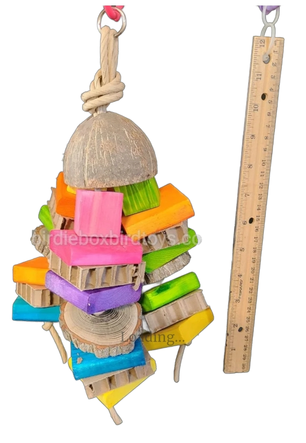 Coco Loco by Birdie Box Bird Toys