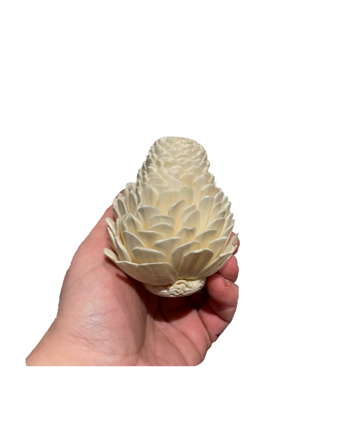 3 Pack Sola Pine Cone by Feathered Addictions