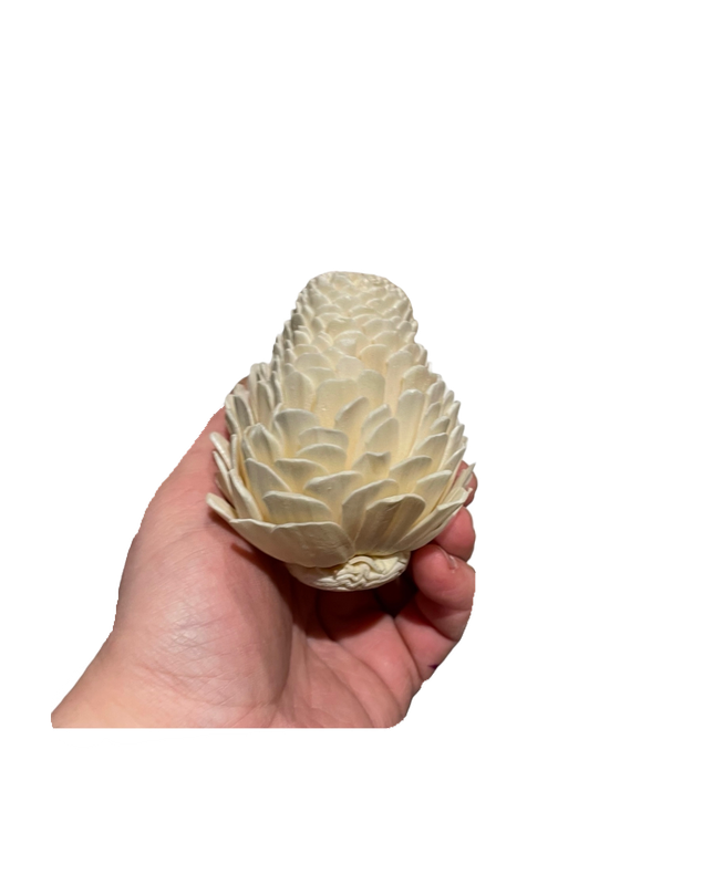 3 Pack Sola Pine Cone by Feathered Addictions