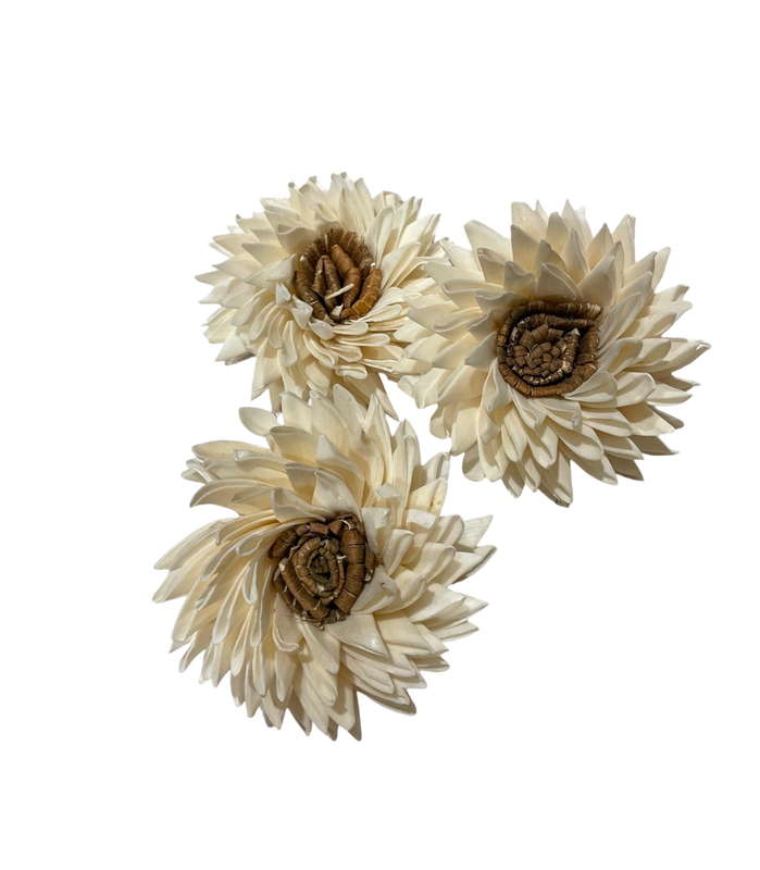 3 Pack Sola Howdy Whirl Large Flower by Feathered Addictions