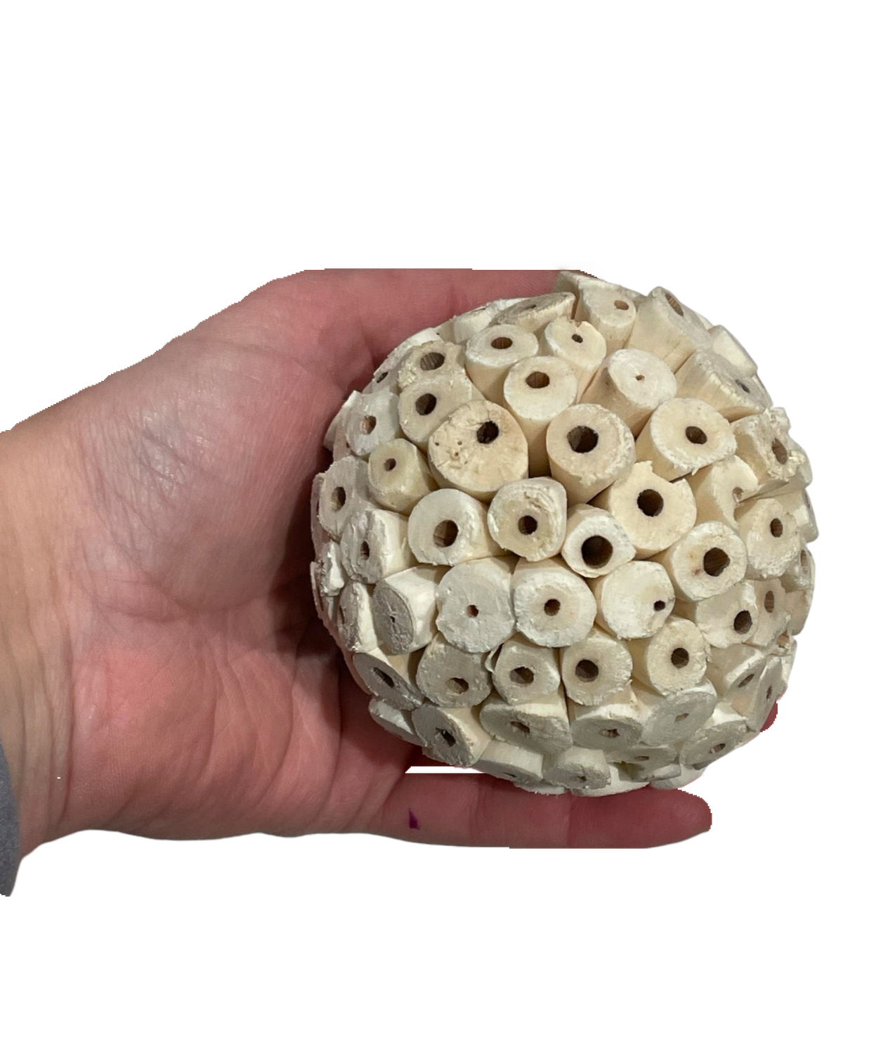 2 Pack HUGE Atomic Sola Balls by Feathered Addictions