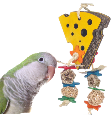 Cheese Forager by Super Bird Creations