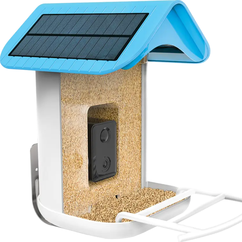 Smart Ai Wild Bird Feeder Featherland Paradise