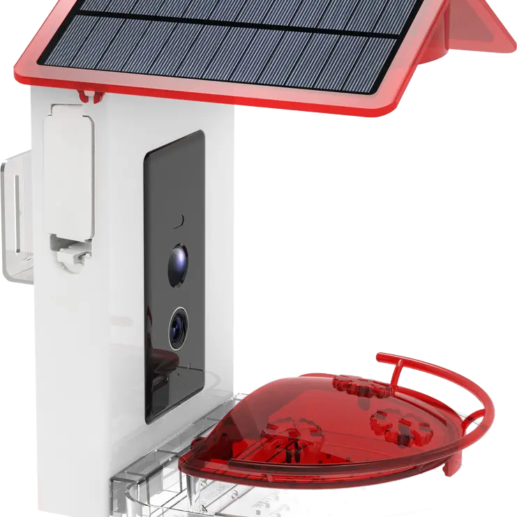 Smart Ai Hummingbird Feeder by Featherland Paradise