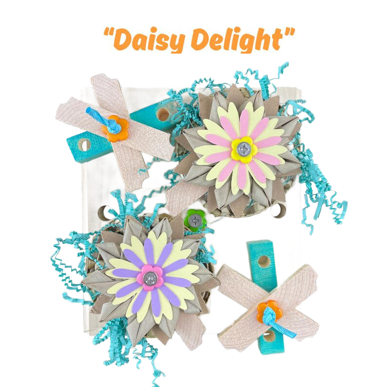 Daisy Delight REFILL for Cage Mount by Pirate&#39;s Beak