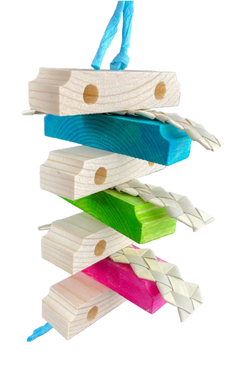 Nut Stash Forager by Pirate's Beak Nut Stash Forager by Pirate's Beak